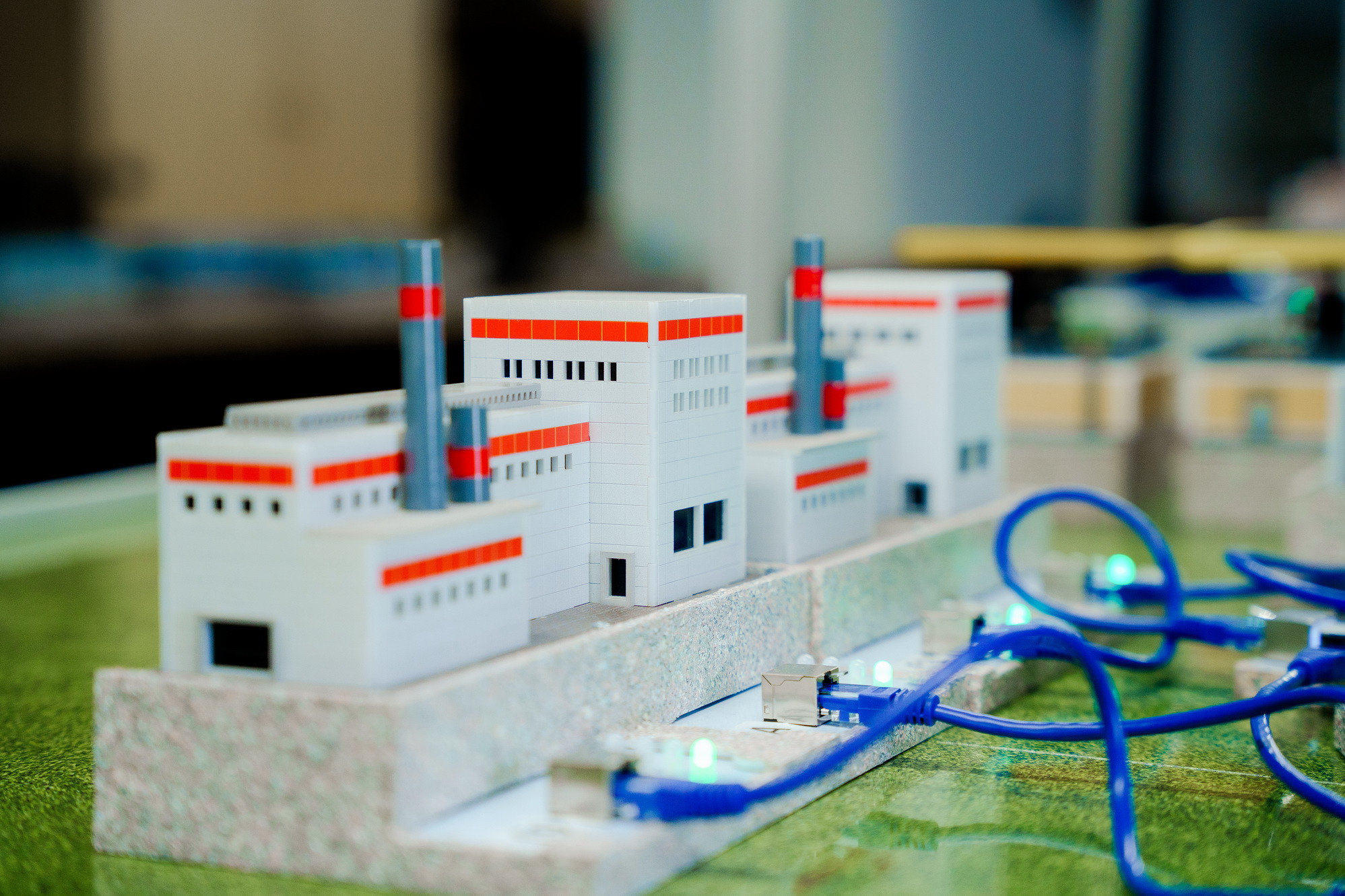 фотография: Д. Фоменков 